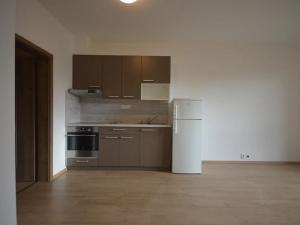 Pronájem bytu 2+kk, Olomouc, Andělská, 58 m2