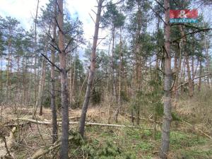 Prodej lesa, Slavičky - Pozďátky, 2084 m2