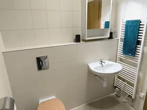 Pronájem bytu 1+kk, Praha - Žižkov, Kališnická, 39 m2