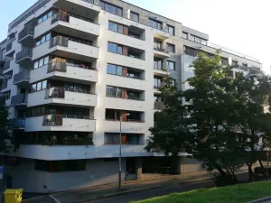 Pronájem bytu 1+kk, Praha - Žižkov, Kališnická, 39 m2