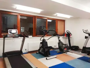 Pronájem bytu 1+kk, Praha - Žižkov, Kališnická, 39 m2