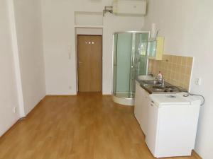Pronájem bytu 1+kk, Praha - Vršovice, Moskevská, 19 m2