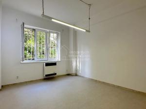 Pronájem bytu 2+kk, Praha - Žižkov, Jeseniova, 40 m2