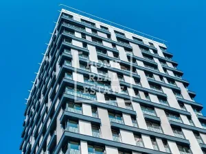 Pronájem bytu 2+kk, Praha - Žižkov, Olšanská, 71 m2