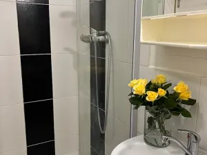 Pronájem bytu 3+1, Frýdek-Místek, Maryčky Magdonové, 77 m2