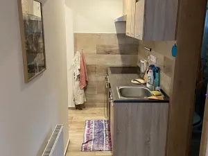 Pronájem bytu 3+1, Liberec, Frimlova, 57 m2