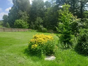 Prodej rodinného domu, Radvanec, 213 m2