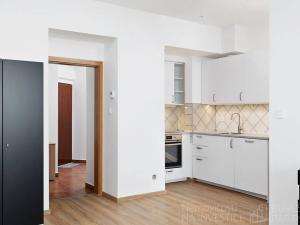 Pronájem bytu 2+kk, Praha - Vinohrady, Velehradská, 49 m2