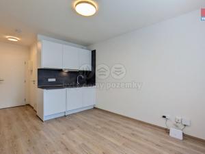 Pronájem bytu 1+kk, Praha - Vršovice, Kubánské náměstí, 19 m2