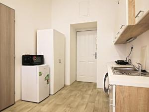 Pronájem bytu 1+kk, Brno, Koliště, 24 m2