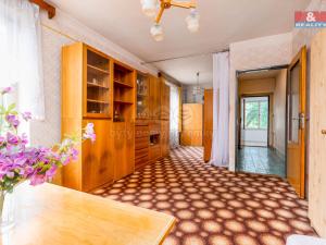 Prodej rodinného domu, Nechanice - Staré Nechanice, 234 m2
