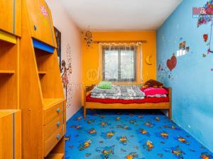 Prodej rodinného domu, Nechanice - Staré Nechanice, 234 m2