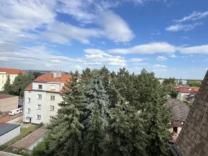 Pronájem bytu 2+1, Čáslav, Žitenická, 61 m2