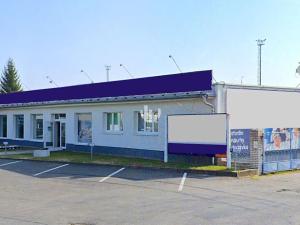 Pronájem obchodního prostoru, Uherský Ostroh, Veselská, 320 m2