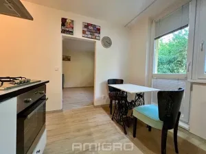 Pronájem bytu 2+kk, Brno, Lipská, 54 m2