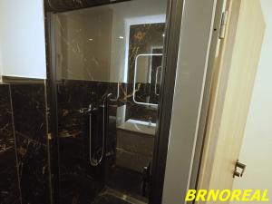 Pronájem bytu 1+kk, Brno, Hybešova, 20 m2