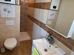 Pronájem bytu 2+1, Brno, Náplavka, 45 m2