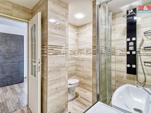 Prodej bytu 2+1, Chomutov, Borová, 61 m2