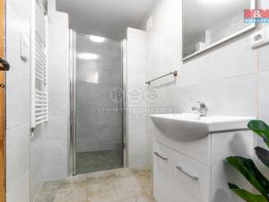 Prodej chaty, Běstvina - Pařížov, 37 m2