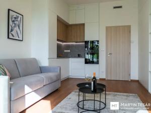 Pronájem bytu 1+kk, Brno, Opuštěná, 31 m2