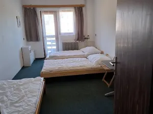 Prodej obchodního prostoru, Frymburk, 750 m2