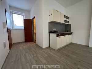 Pronájem bytu 1+kk, Brno, Košinova, 32 m2