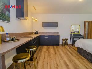Pronájem bytu 1+kk, Polička, Šaffova, 30 m2