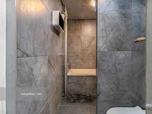 Prodej podílu bytu 3+1, Klatovy, Rozvoj, 64 m2