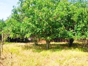 Prodej rodinného domu, Mogilishte, Bulharsko, 160 m2