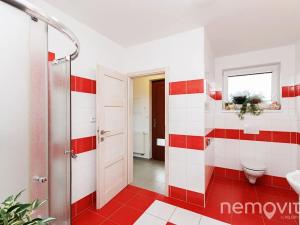 Prodej rodinného domu, Nová Ves pod Pleší, Světlá, 162 m2