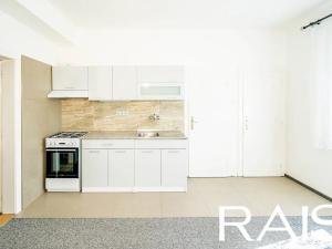 Pronájem rodinného domu, Ostopovice, Družstevní, 100 m2
