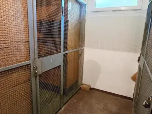 Prodej bytu 1+1, Kadaň, Koželužská, 38 m2