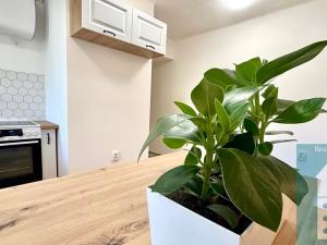 Prodej bytu 1+kk, Kroměříž, Švabinského nábřeží, 28 m2