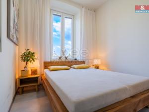 Prodej bytu 3+1, Vyskytná nad Jihlavou, 132 m2