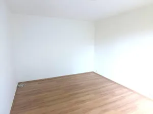 Prodej bytu 1+1, Ústí nad Labem, Mlýnská, 37 m2