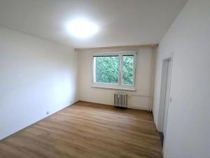 Prodej bytu 1+1, Ústí nad Labem, Mlýnská, 37 m2