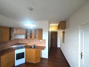 Prodej bytu 1+1, Ústí nad Labem, Železná, 34 m2