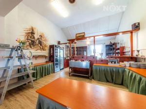 Prodej restaurace, Darkovice, Dlouhá, 480 m2