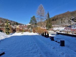 Prodej bytu 3+kk, Velké Hamry, 79 m2