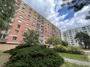 Pronájem bytu 4+1, Pardubice, Jana Zajíce, 93 m2
