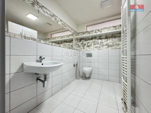 Pronájem bytu 1+kk, Chlumec nad Cidlinou - Chlumec nad Cidlinou IV, Rooseveltova, 35 m2