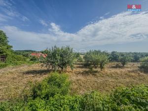 Prodej pozemku pro bydlení, Bechlín, 1185 m2