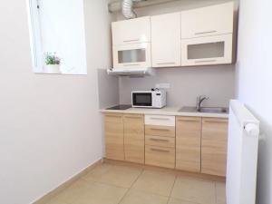 Pronájem bytu 1+kk, Brno, Lidická, 23 m2