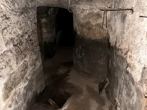 Prodej obchodního prostoru, Turnov, Palackého, 54 m2