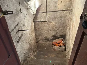 Prodej obchodního prostoru, Turnov, Palackého, 54 m2