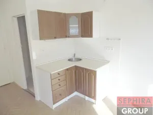 Pronájem bytu 1+kk, Praha - Nusle, U čtyř domů, 23 m2