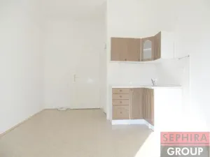 Pronájem bytu 1+kk, Praha - Nusle, U čtyř domů, 23 m2
