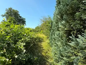 Prodej rodinného domu, Lobodice, 98 m2