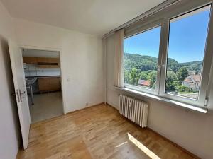 Prodej bytu 2+1, Děčín, Na Pěšině, 50 m2
