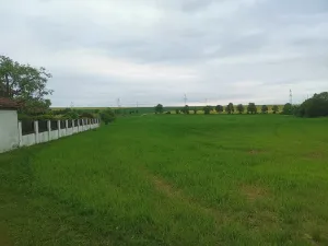 Prodej pole, Černošice, 1053 m2